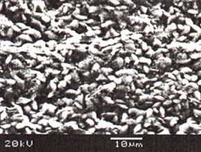 Photomacrographs of the appearance of the Manganese phosphate